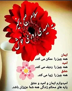 تجهیزات پزشکی پهلوان