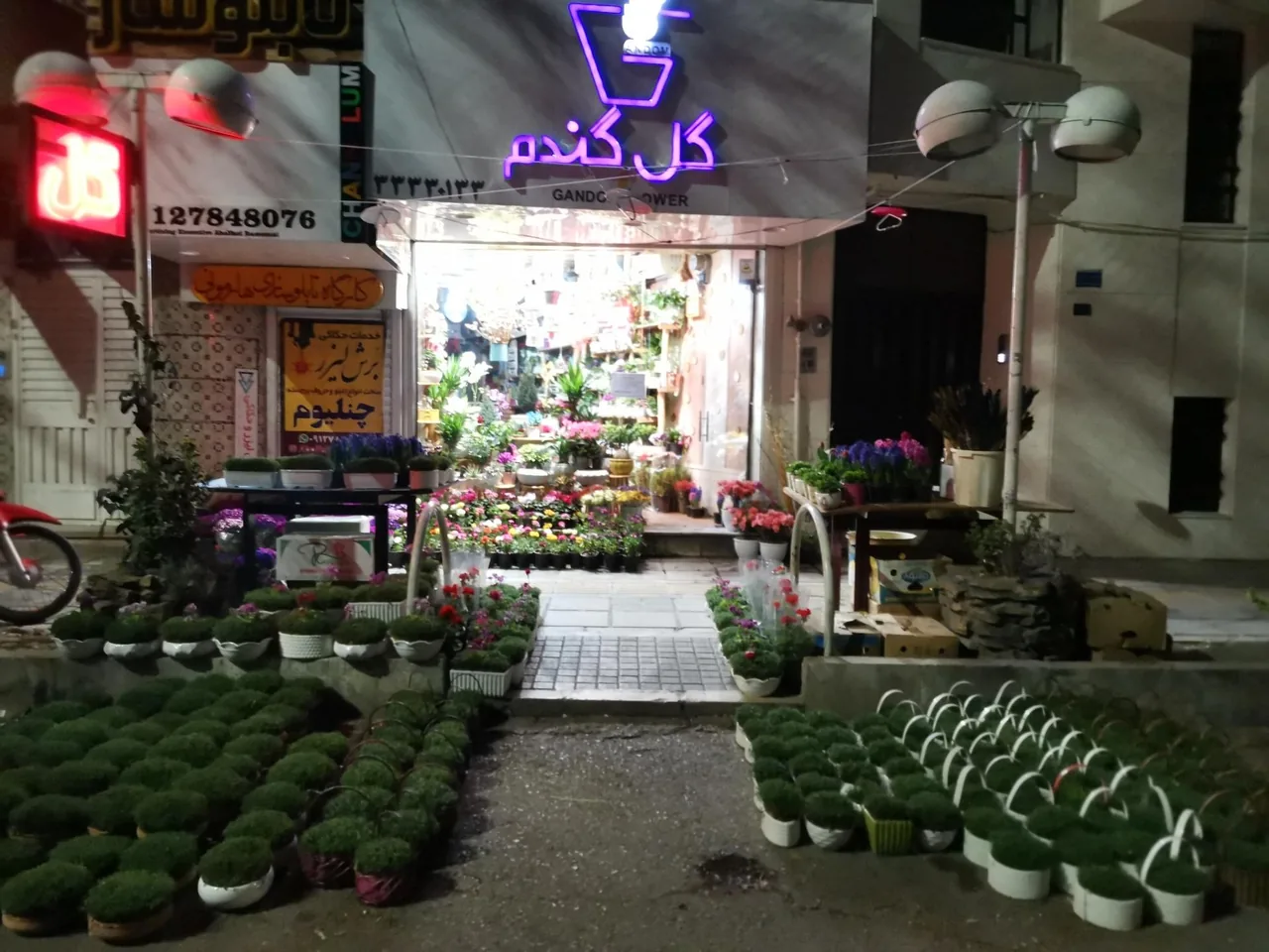 گل سرای گل گندم - تصویر 2