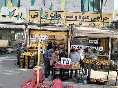 میوه فروشی تی تی