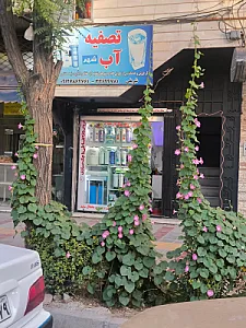 تصفیه آب شهر