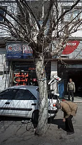 فروشگاه لاستیک افسری