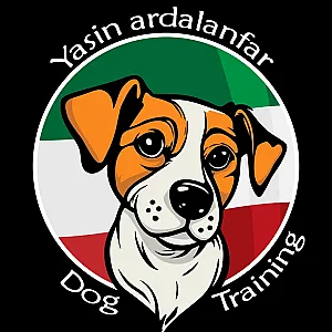 آکادمی آلفا