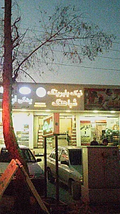 نیک بلبرینگ شباهنگ