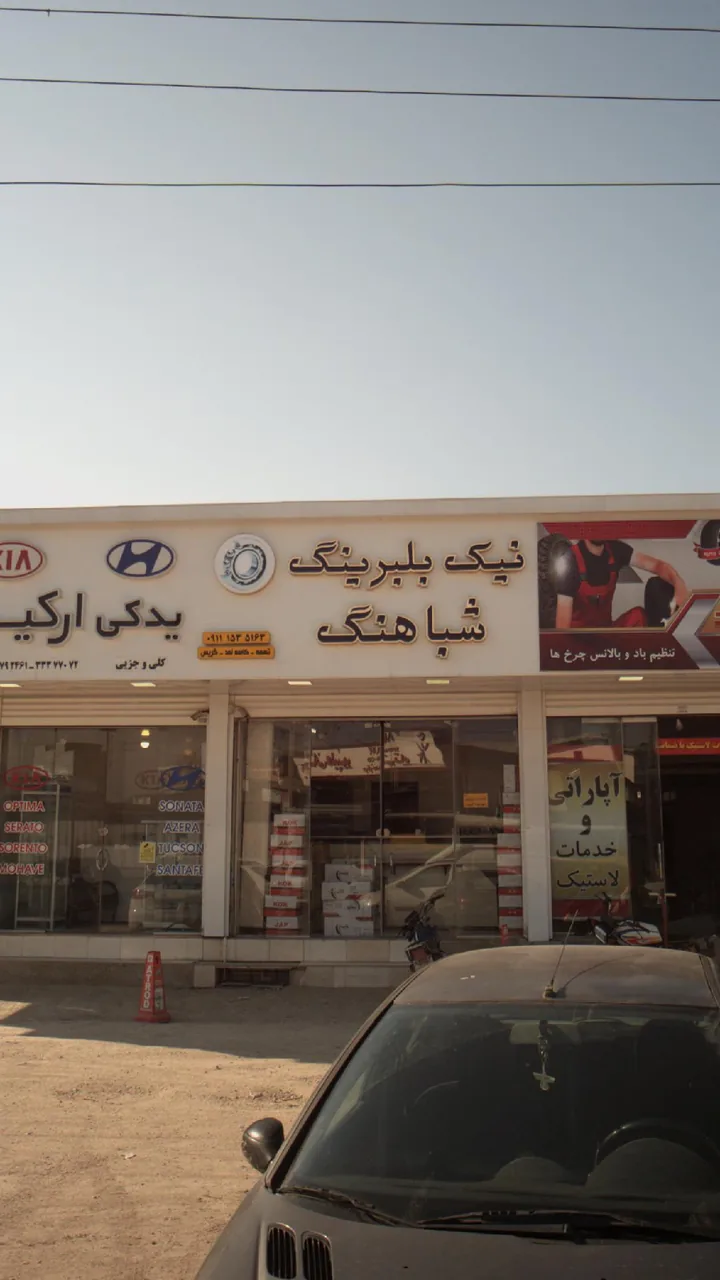 نیک بلبرینگ شباهنگ - تصویر 2