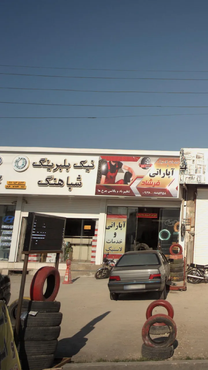 نیک بلبرینگ شباهنگ - تصویر 4