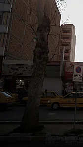 ایران یدک