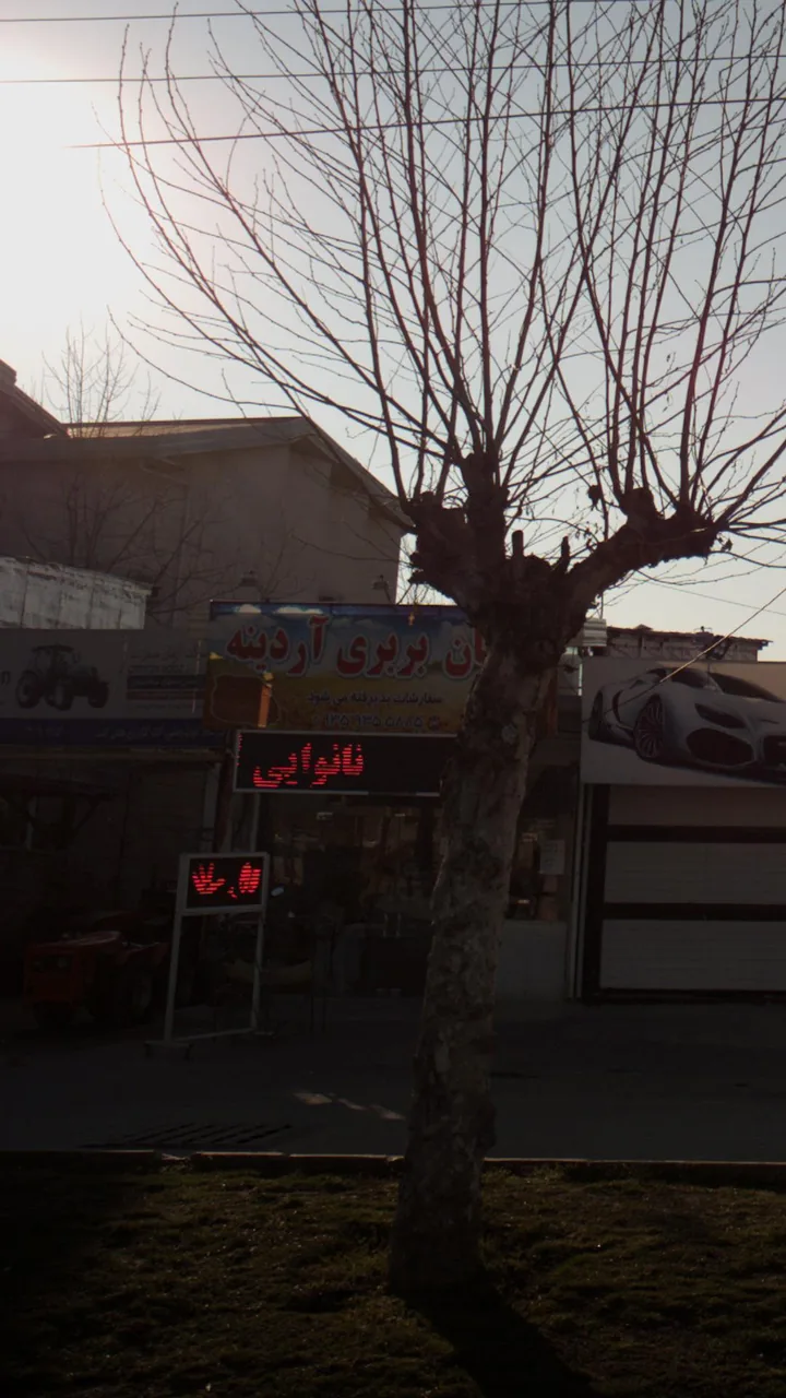 نان بربری آردینه