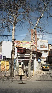 نان سنگک سنتی زرین
