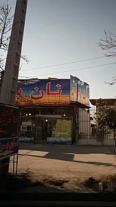 نان برتر