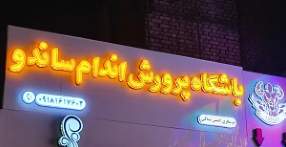 باشگاه ورزشی ساندو