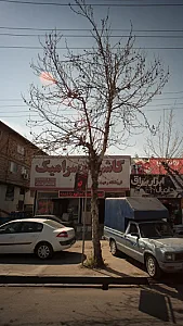 بازرگانی کاشی و سرامیک رعیت پرور