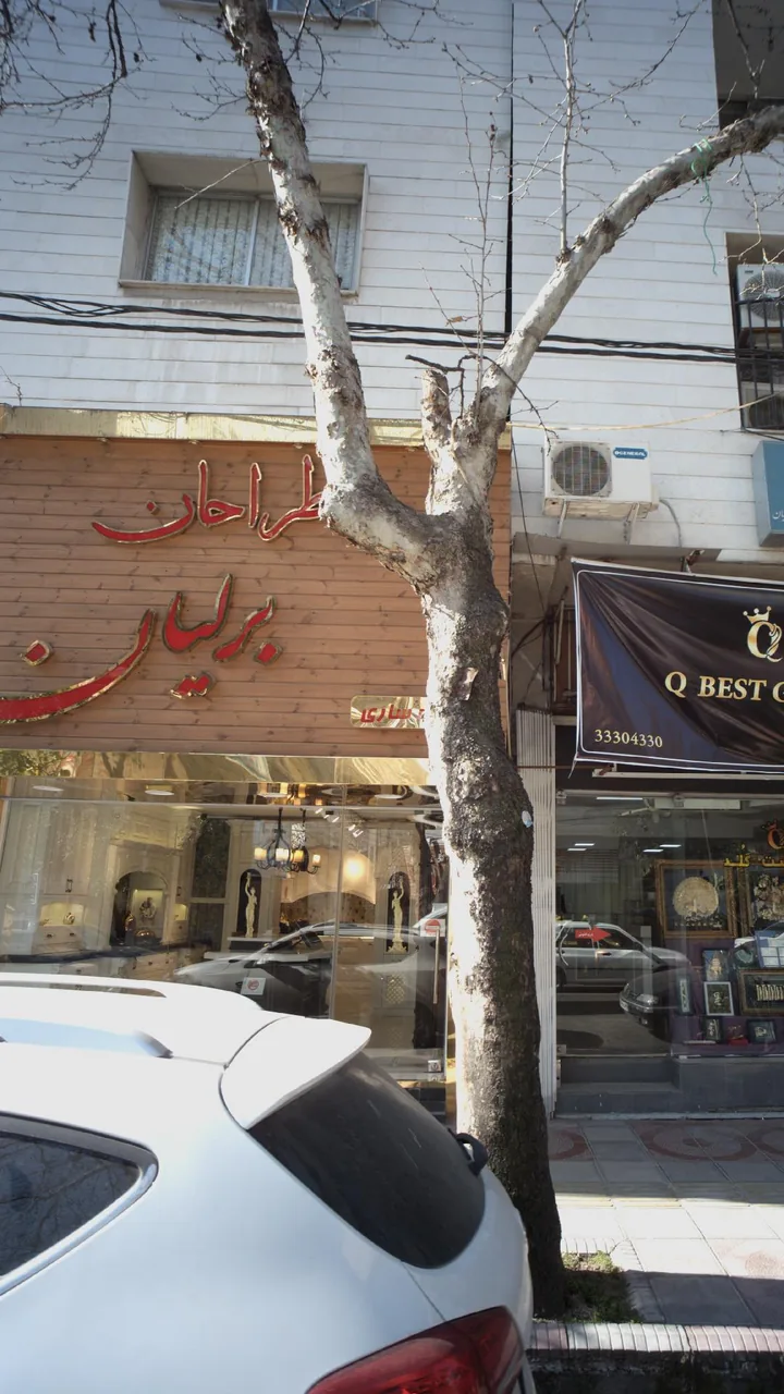 طراحان برلیان - تصویر 2