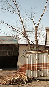 فروشگاه مصالح ساختمانی محمدی