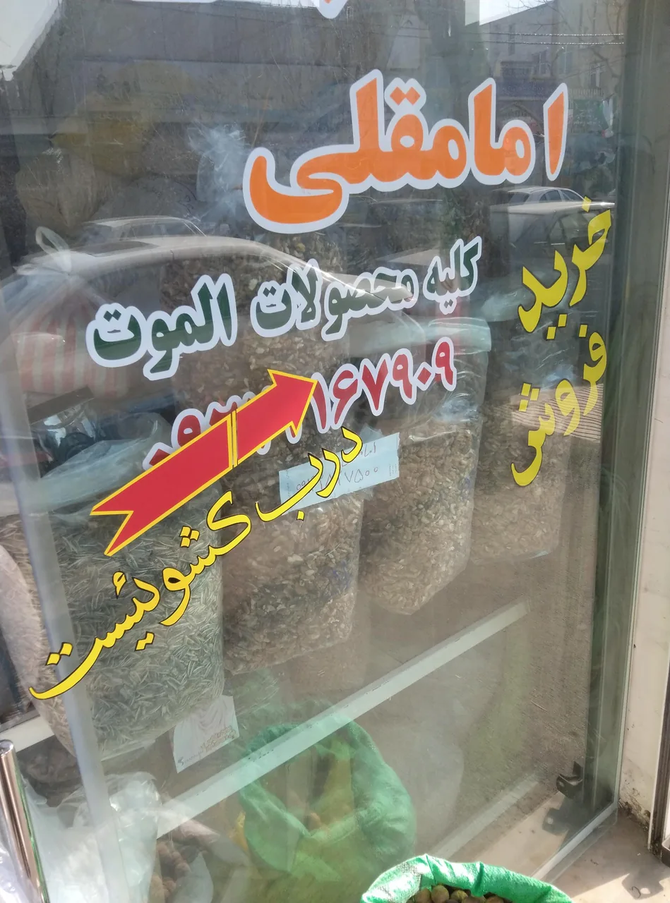 خشکبار امامقلی - تصویر 2