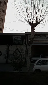 اتو پیمان