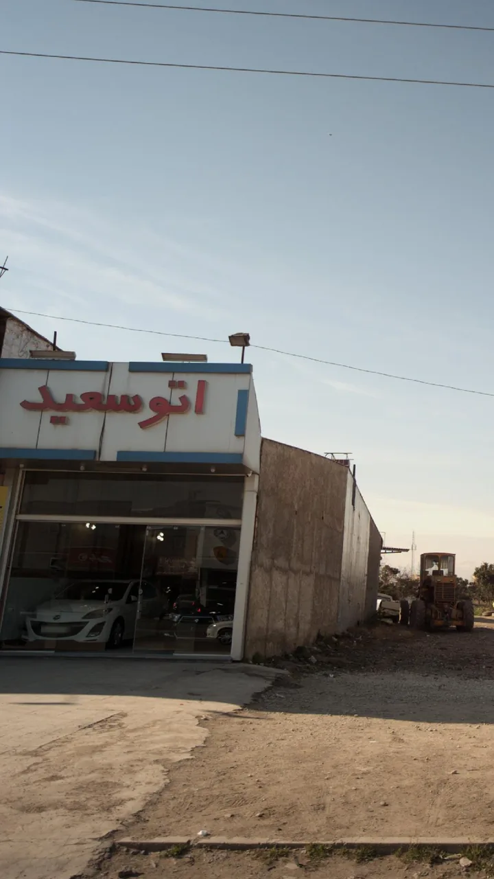 اتو سعید - تصویر 3