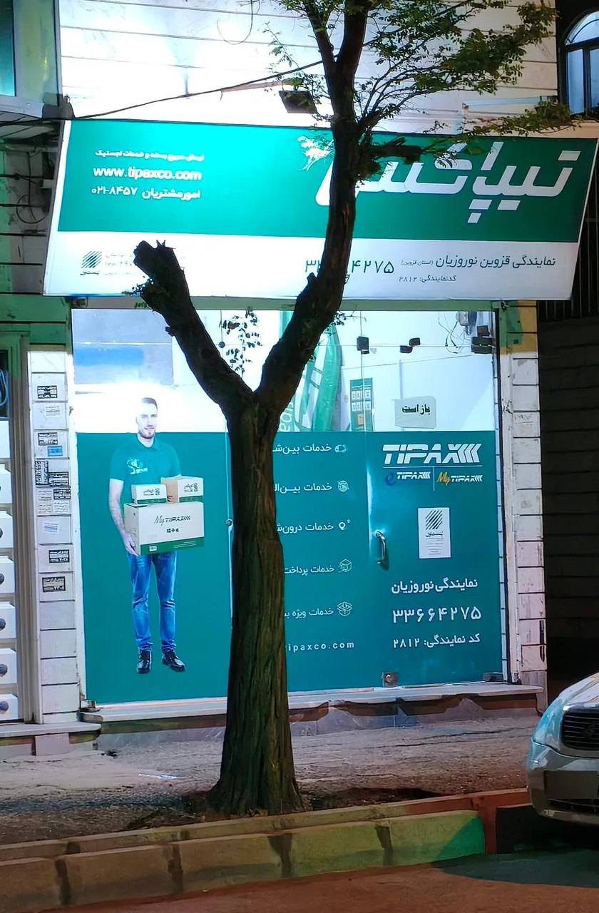 تیپاکس نوروزیان - تصویر 3