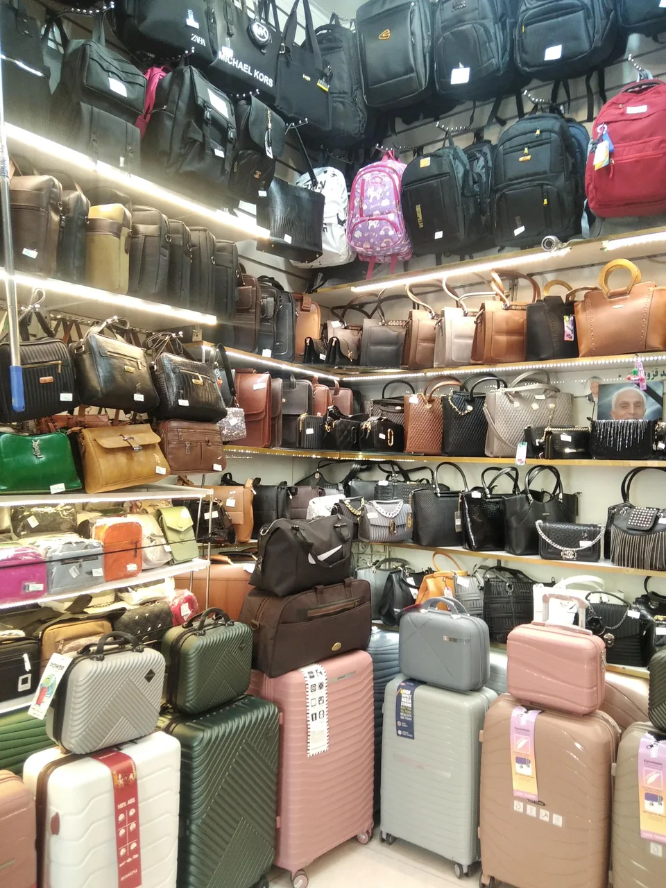 کیف و کفش سناتور - تصویر 2
