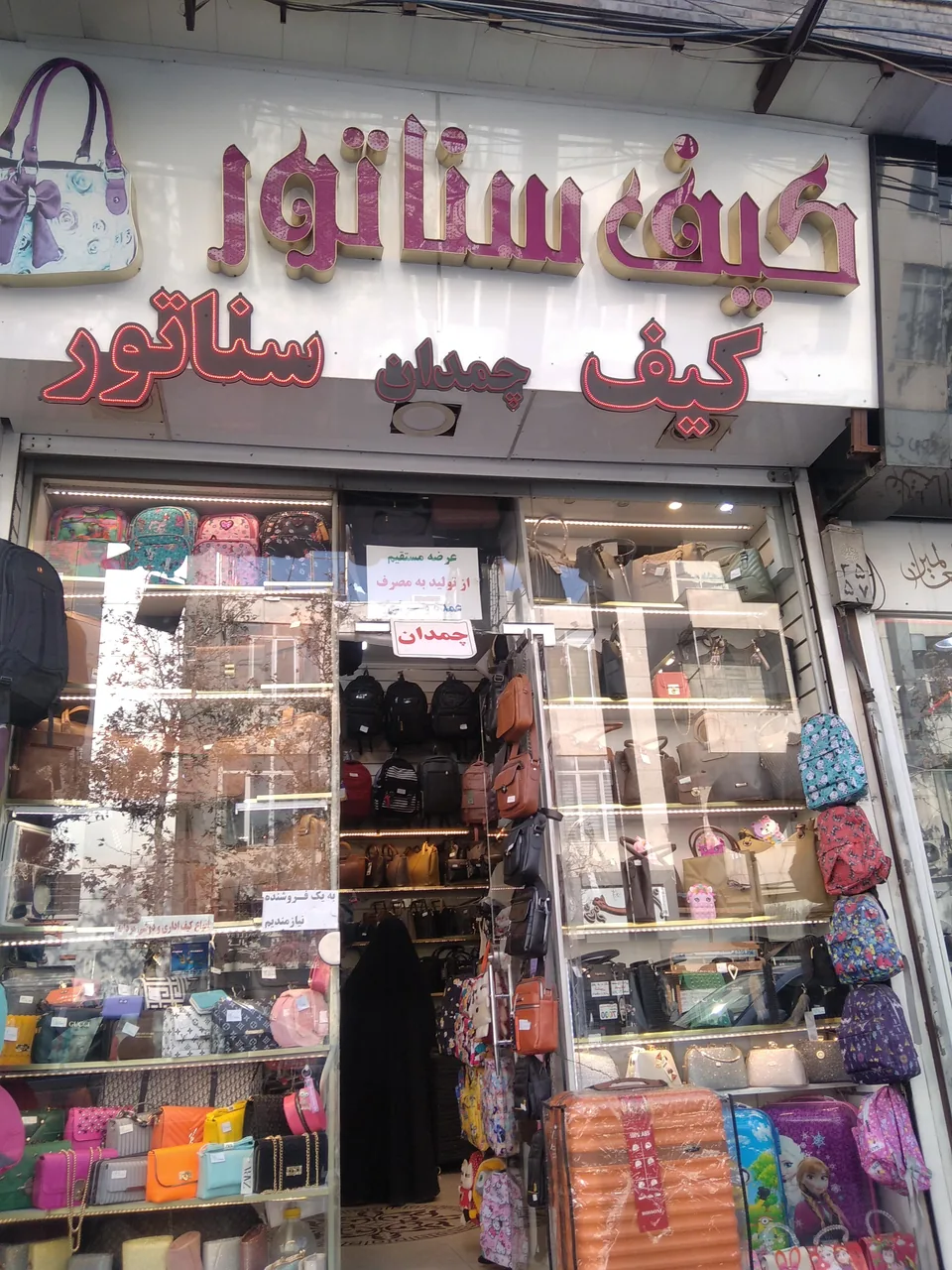 کیف و کفش سناتور - تصویر 4