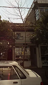 علوی