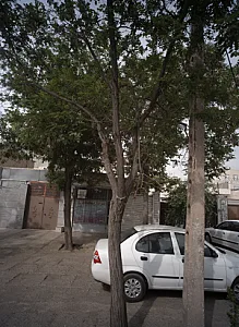 لابراتوار دندانسازی گشتی