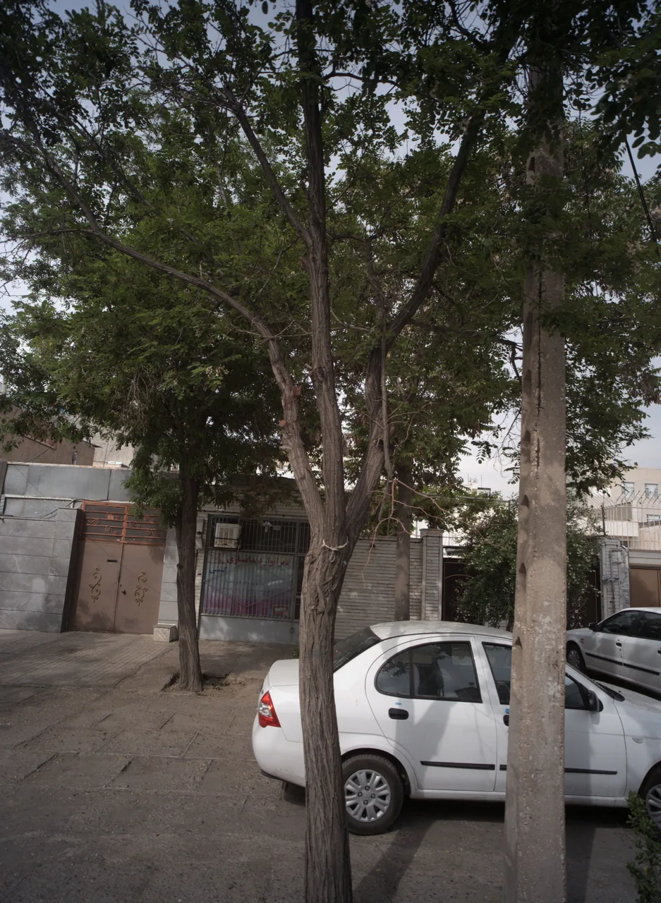 لابراتوار دندانسازی گشتی