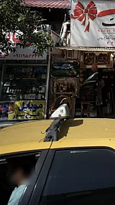 موبایل فرج پور