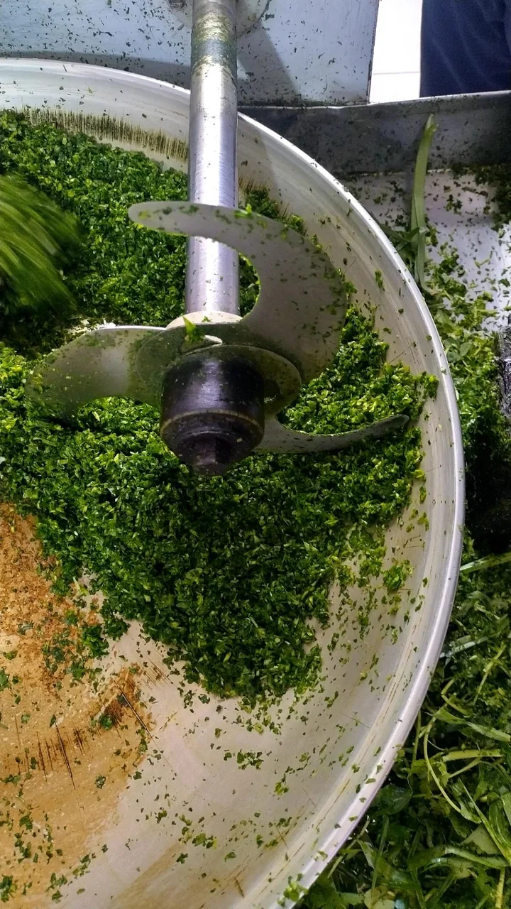 سبزی خردکنی - گوشت، مرغ و پروتئینی در زنجان - تصویر 3