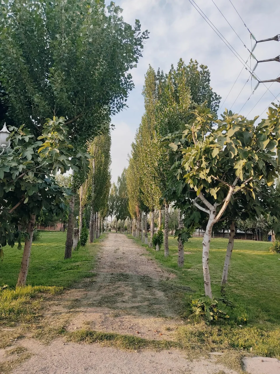 خوابگاه گلستان و بوستان - تصویر 5