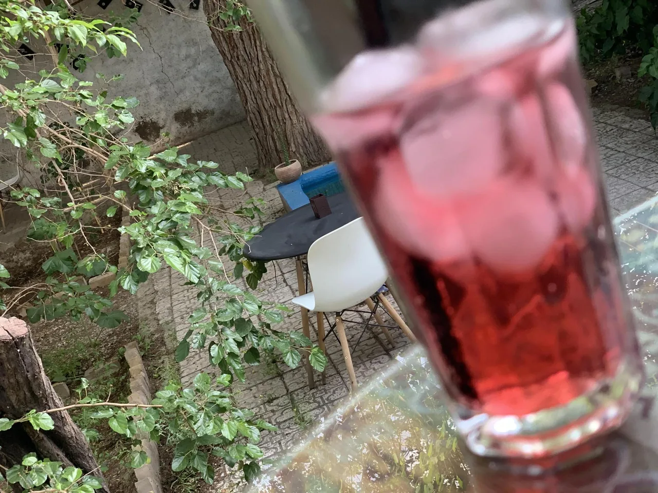 کافه نعنا - تصویر 4