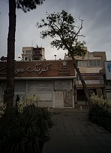 فیزیوتراپی مهرگان