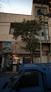خدمات مسافرت هوایی و جهانگردی آلاله