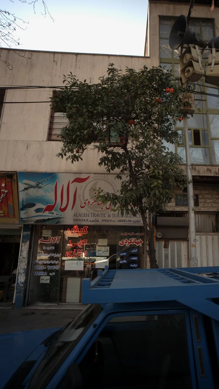 خدمات مسافرت هوایی و جهانگردی آلاله - تصویر 3