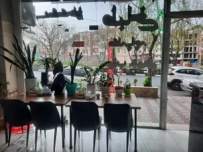 طباخی مریخ
