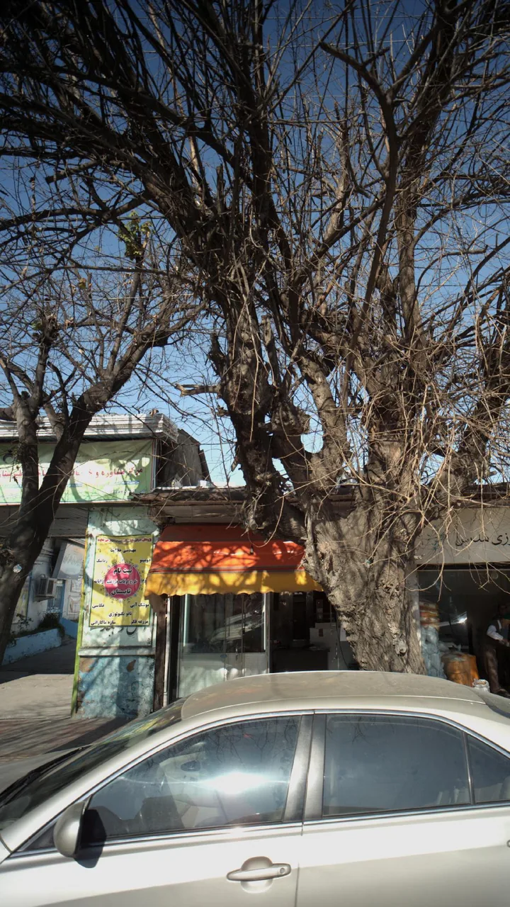مرکز مشاوره و خدمات روانشناختی طبرستان - تصویر 3