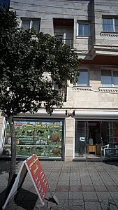 لبنیاتی و پروتئینی سنتی تلم