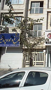 مرغ و مواد پروتئینی
