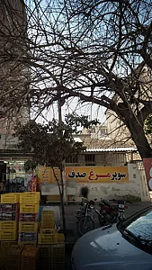 سوپر مرغ صدف