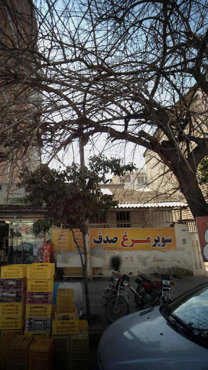 سوپر مرغ صدف