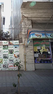 پروتئینی سعدی