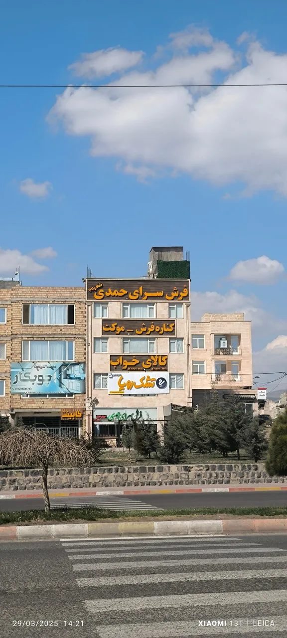 فرش سرای حمدی - تصویر 5