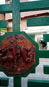حجاب فاخر حسینی