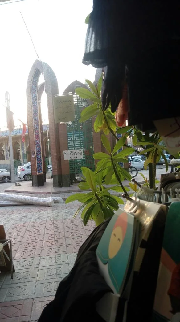 حجاب فاخر حسینی - تصویر 3