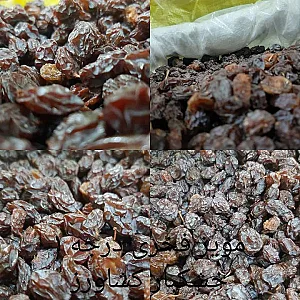 پخش خشکبار کشاورز