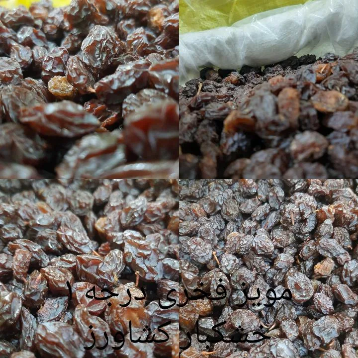 پخش خشکبار کشاورز