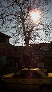 پوشاک ارزانکده رضا کلانتری