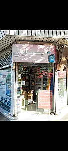 دزدگیر اتومبیل پارس