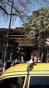 پوشاک چهار فصل