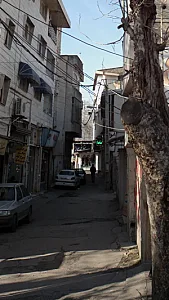 خانومی گل