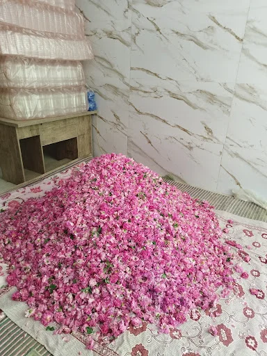 قنادی تک درخت